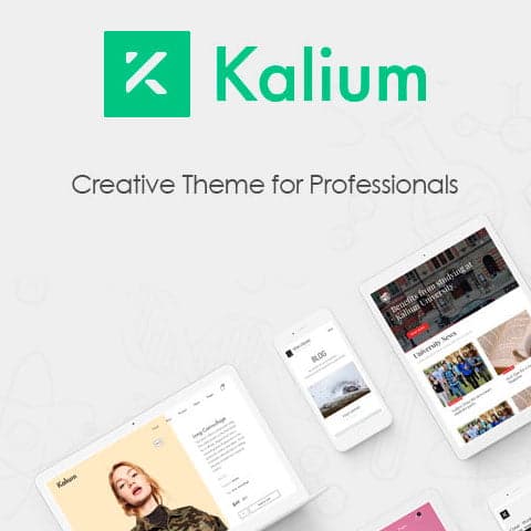 Kalium Creative for Professionals Theme