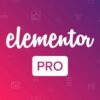 Logotipo de Elementor con etiqueta PRO sobre fondo rosa, Elementor Pro WordPress Plugin