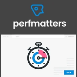 perfmatters lighweight performance wp plugin